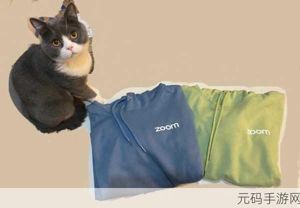 俄罗斯ZOOM与人性ZOOM：1. 俄罗斯ZOOM：探索虚拟世界中的人性深度