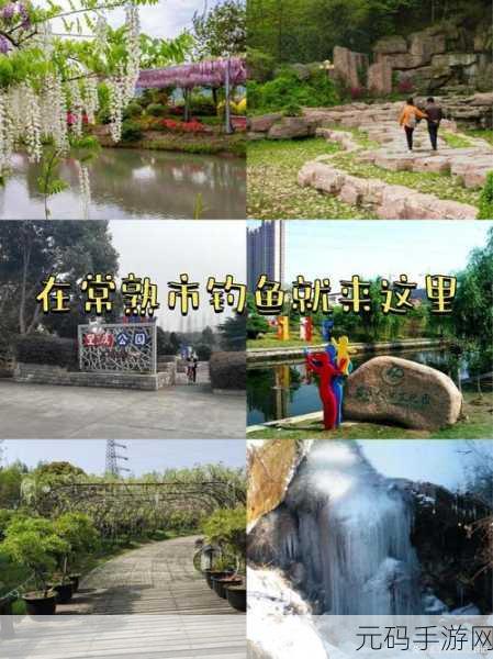 江南百景图舞塘垂钓秘境，一文带你探寻垂钓天堂