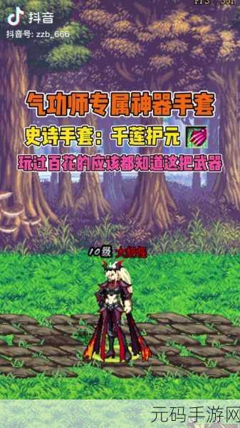 DNF热门角色深度解析,魅力四溢的百花缭乱者花花