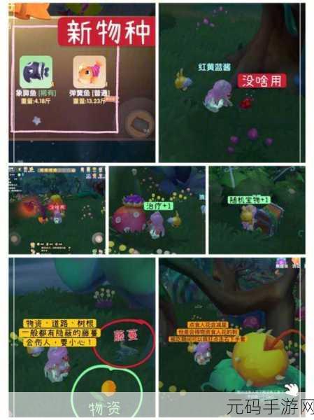 摩尔庄园新风尚,正义之心佩戴全攻略