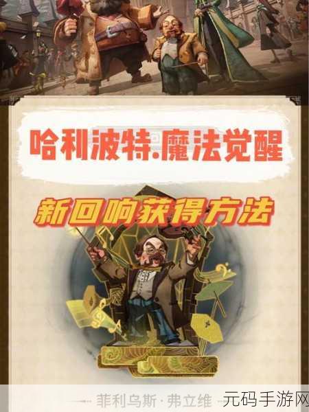 深入探究哈利波特魔法觉醒卢娜回响机制