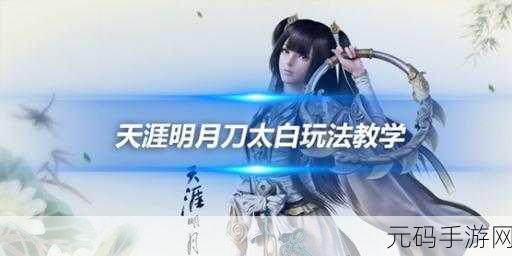 天涯明月刀手游太白玩法全解析 助你称霸江湖