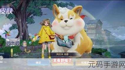 王者荣耀,山孩阿古朵的奇妙之旅与小技巧揭秘