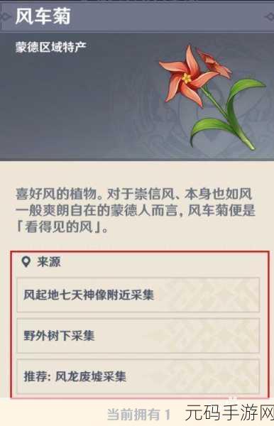 原神风车菊位置全攻略，探索神秘世界的必备指南