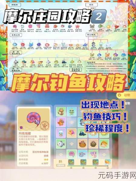 摩尔庄园,探寻神秘礼服鱼的优雅踪迹