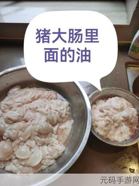 探秘mofermagic高端大肠交：1. 探索mofermagic：高端大肠交的神秘魅力