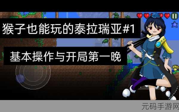 泰拉瑞亚探险指南，揭秘黑色精灵尘的获取奥秘