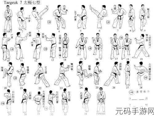 合阴阳的七十二式图示:1. 合阴阳之道:探寻宇宙和谐的七十二式