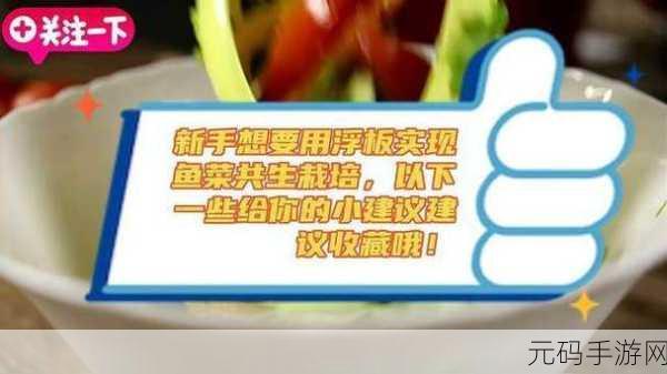 991精产三产区区别：当然可以！以下是一些基于991精产三产区区别的标题建议：