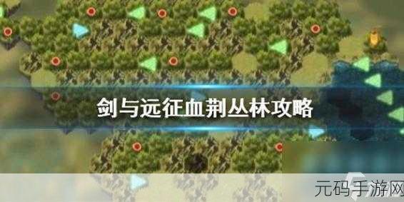 剑与远征血荆丛林终极指南，征服高难副本的秘籍