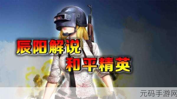 和平精英，深度剖析获胜机制，揭秘夺冠秘籍