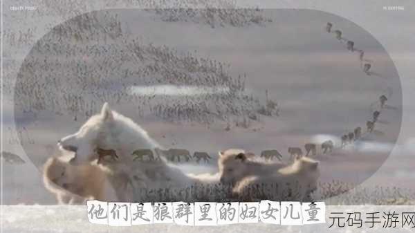 狼群社区www观看日本免费观看安卓版:1. 狼群社区:畅享日本动漫免费观看的全新体验