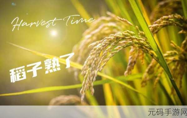 丰年经继拇最简单处理：1. 丰年经济：构建可持续发展的未来之路