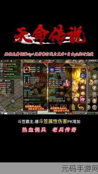 天命传说新手攻略，天命搭配与天神流派全解析