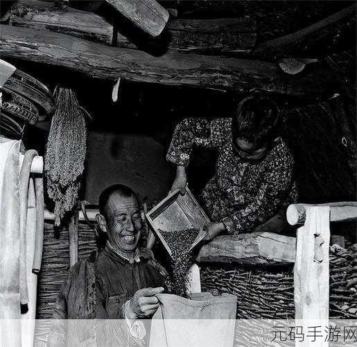 四叔一次又一次索取盛年岂能浪费：1. 盛年不再，四叔的索求何时止？