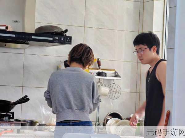 厨房一次又一次的索要刷碗总是我：1. 厨房无尽的洗碗挑战，我为何总是被点名？
