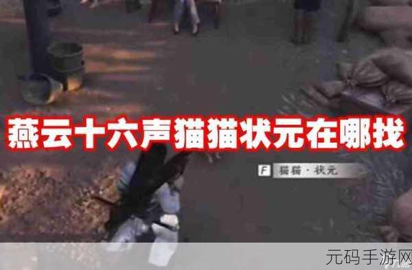 燕云十六声之猫猫花旋风位置全揭秘