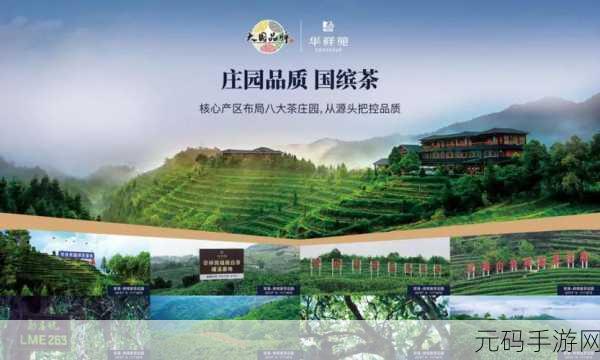 99精产国品一二三产区区:1. 精选国品:探索99精产一二三产区的新机遇