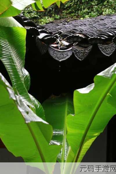 雨打芭蕉电影免费观看高清：1. 雨打芭蕉：倾听心灵的细腻旋律