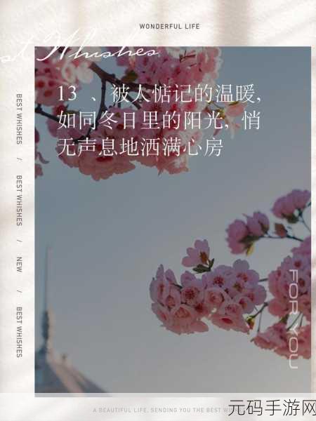 融化1V.1H：融化1V.1H：探寻人际关系中的情感交互与成长