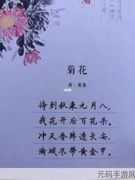 菊花放一支笔：1. 菊花与笔：书写秋天的诗意