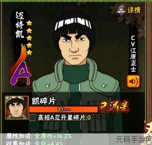 火影忍者手游迈特凯连招秘籍，解锁极致战斗艺术