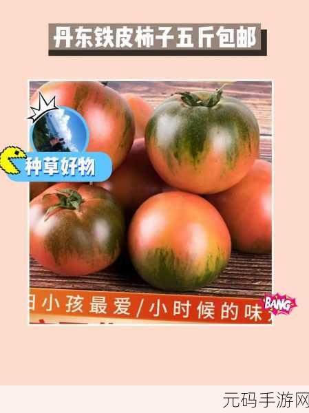 蜜丝婷大草莓和小草莓对比主播专属谁说的：1. 大草莓与小草莓的主播专属对决：谁才是赢家？