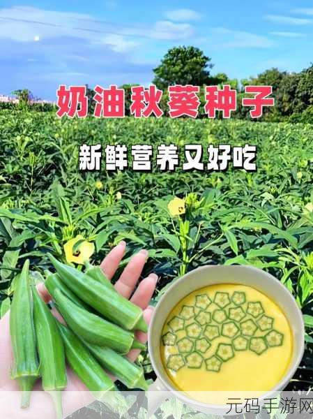 草莓视频-秋葵视频-小猪视频：1. 《草莓视频：探索秋葵与小猪的奇趣世界