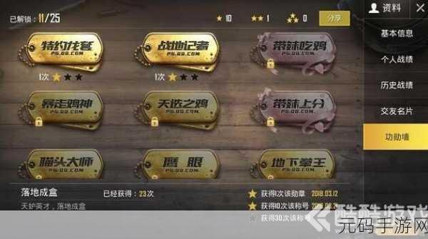 绝地求生刺激战场勋章攻略,解锁荣耀之路