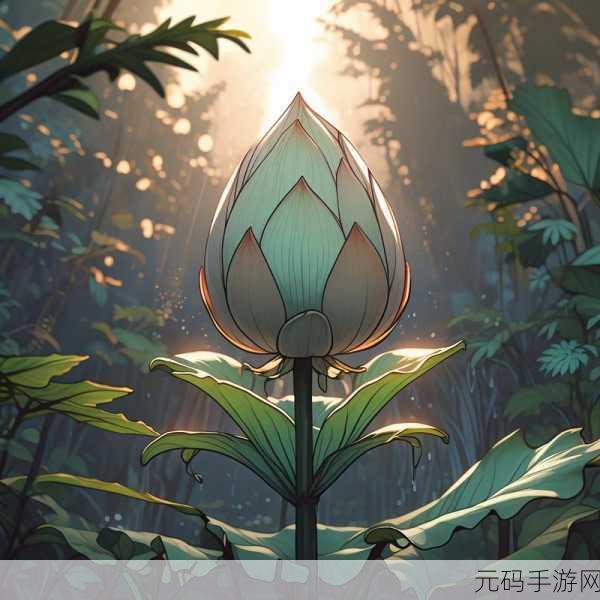 女性半夜莲花开放的治疗：1. 夜幕下的奇迹：女性健康与莲花绽放