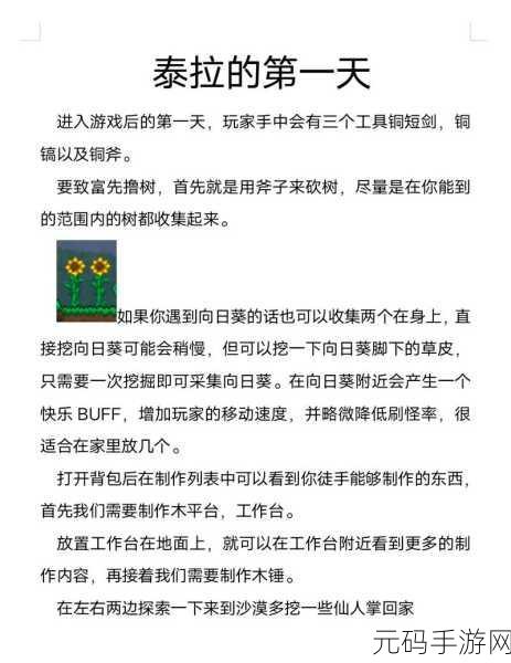 泰拉瑞亚探险新篇章，揭秘血量突破四百的终极攻略
