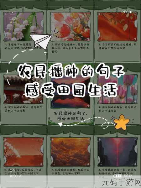 开垦妈妈肥沃的土地：1. 开垦妈妈的肥沃土地，播种希望与梦想