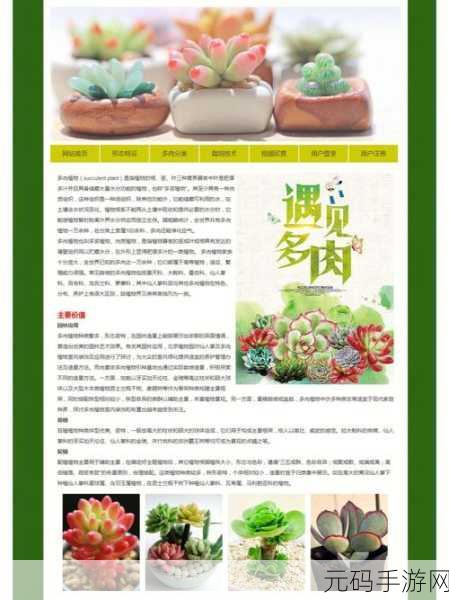 DW成品网站成品将要回归了吗：1. DW成品网站即将回归，精彩内容值得期待！