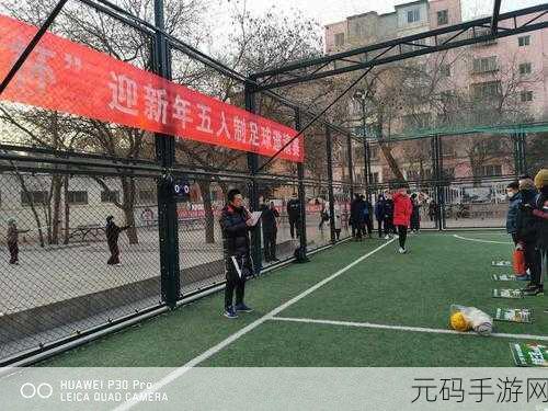 精产国品一二三区别在哪里：1. 精产国品一二三区的市场定位解析