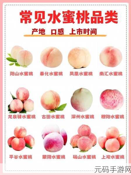 水蜜桃和水蜜桃V2:1. 水蜜桃的甜美传奇:从果园到餐桌
