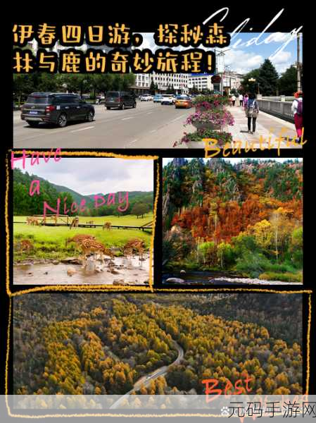 探秘伊甸园2024二路三路四路五路:1. 探秘伊甸园:四路探险的奇妙旅程
