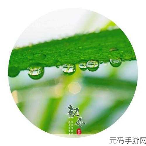 春雨直播电视剧免费观看高清:1. 春雨直播:畅享高清电视剧免费观看新体验