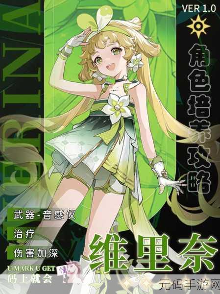 鸣潮新角色维里奈技能大揭秘,解锁战斗与治疗双重魅力