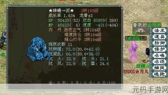 大话西游手游，揭秘九戒召唤兽加点攻略，打造攻宠界王者