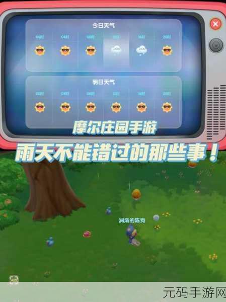 摩尔庄园手游偷菜秘籍,全方位解析偷菜技巧