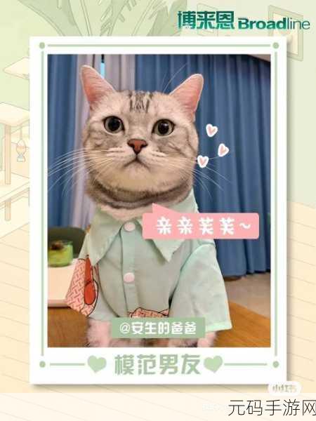 江教授的日常生活-1-安生:1. 江教授的日常生活:从早到晚的安生之道