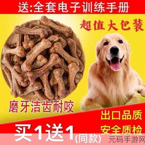 狗狗和人胶配方大全高清:1. 宠物健康从此开始:全面解析狗狗和人胶配方