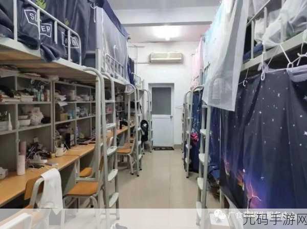 宿舍H3C多人：1.宿舍H3C：打造舒适共享空间的全新理念