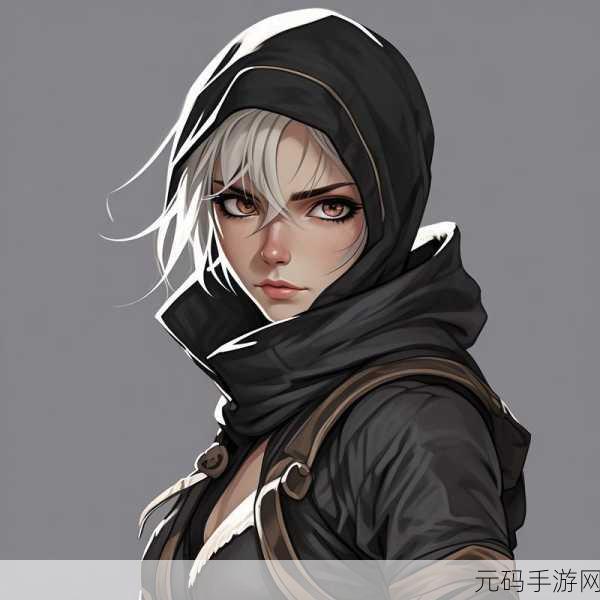 深度剖析,轩辕传奇手游中刺客的魅力与实力
