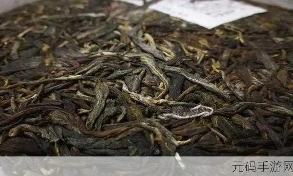 精产国品一二三产区M553：1. 精产国品M553：一二三产区的全面解析