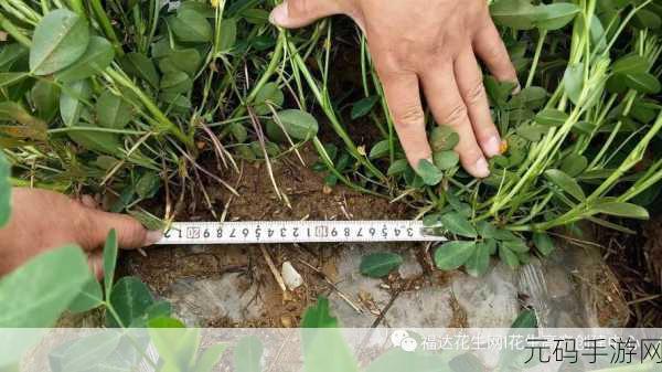 精产国品一二三产区M553：1. 精产国品M553：一二三产区的全面解析