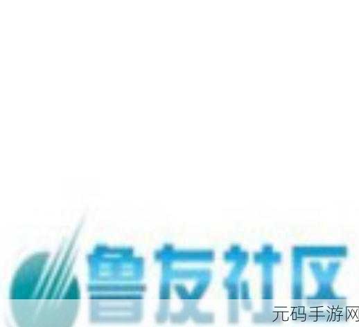 鲁友社区：1. 鲁友社区：融汇文化与技术的创新平台