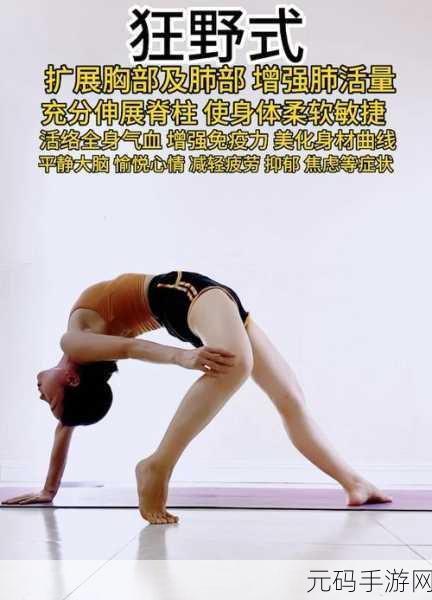 两种进入狂野式的方法有哪些随时进行点播:以下是关于两种进入狂野式的方法的拓展新标题建议,每个标题不少于10个字: