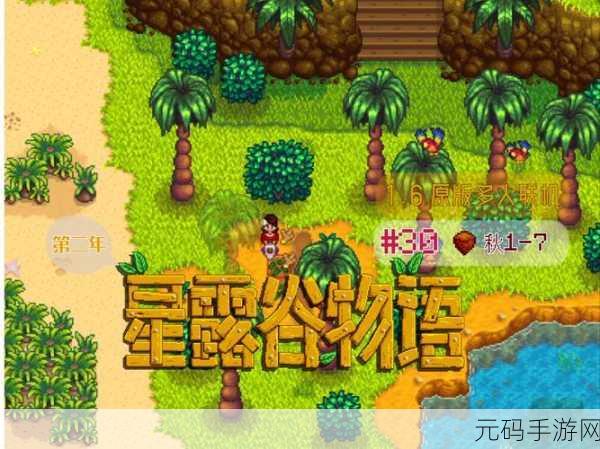 星露谷物语，解锁泡澡新体验，享受悠然田园生活