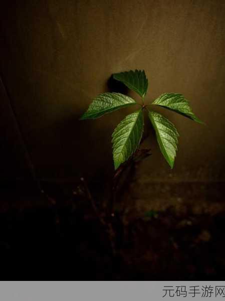 水蜜桃香蕉含羞草：1. 水蜜桃与香蕉的甜美交响曲